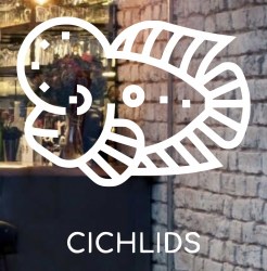 cichlids-front-glass-logo-design